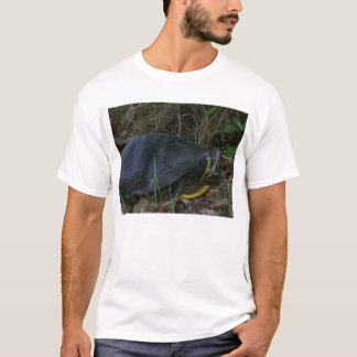 T-shirt Chemise de tortue à ventre jaune