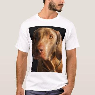 T-shirt Chemise de Weimaraner