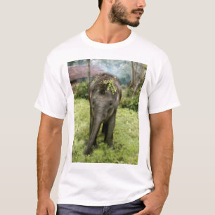 T-shirt chemise d'éléphants du coeur i