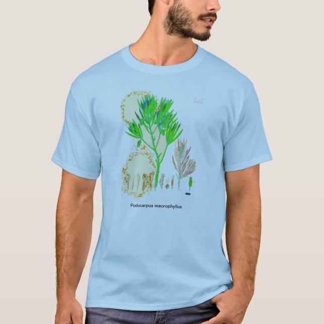 T-shirt Chemise d'impression de Podocarpus de CYCAD (Devant)
