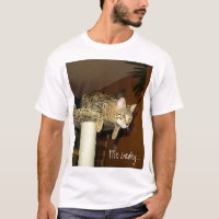 Chemise sournoise de chat de la savane