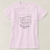 Chemise Sulcata Tortoise (boîte, noir)
