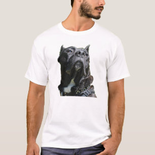 T-shirt Chemise T Big Dog