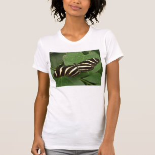 T-shirt Chemise T Papillon à aile longue Zebra