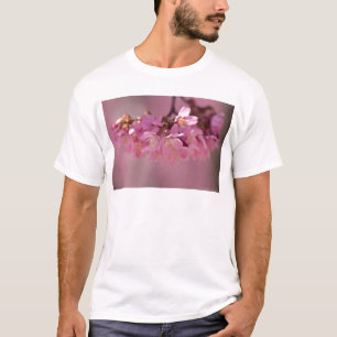 T-shirt Cherry Blossoms Hot Spring 2012 Vêtements & Cadeau