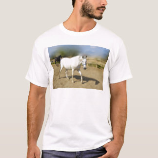 T-SHIRT CHEVAL BLANC PEINT