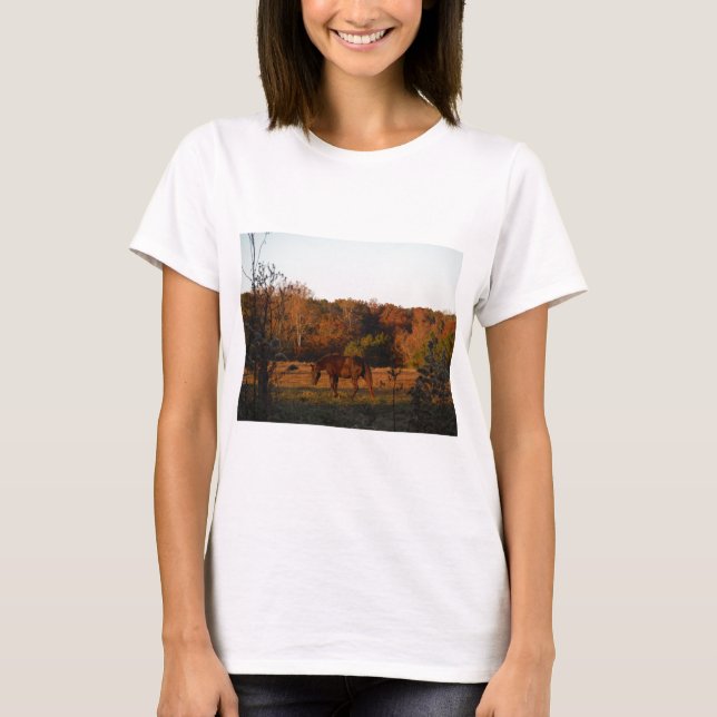 T-shirt Cheval Brown rouge, bois d'automne. (Devant)