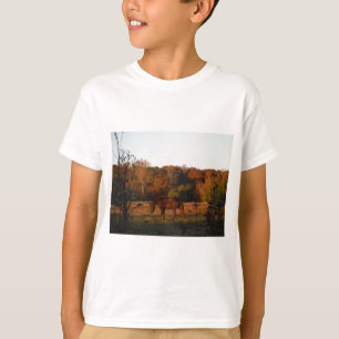 T-shirt Cheval Brown rouge, bois d'automne.