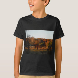 T-shirt Cheval Brown rouge, bois d'automne.