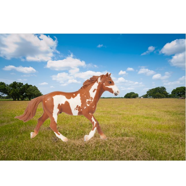 T-shirt Cheval de peinture américain (Créateur téléchargé)