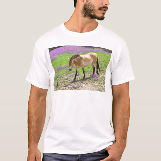 T-shirt Cheval de Przewalski (Devant)