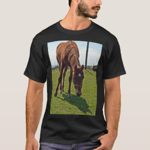 T-shirt Cheval de Snoopy