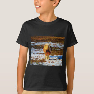 T-shirt Cheval miniature Brown et crème dans la neige.