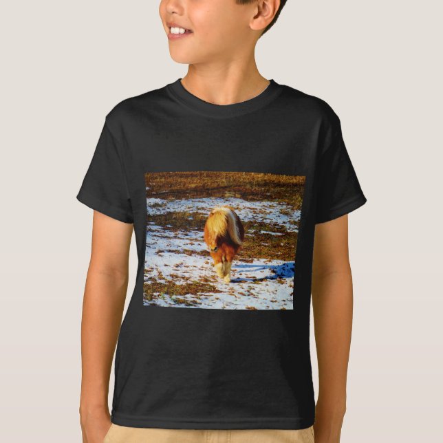 T-shirt Cheval miniature Brown et crème dans la neige. (Devant)