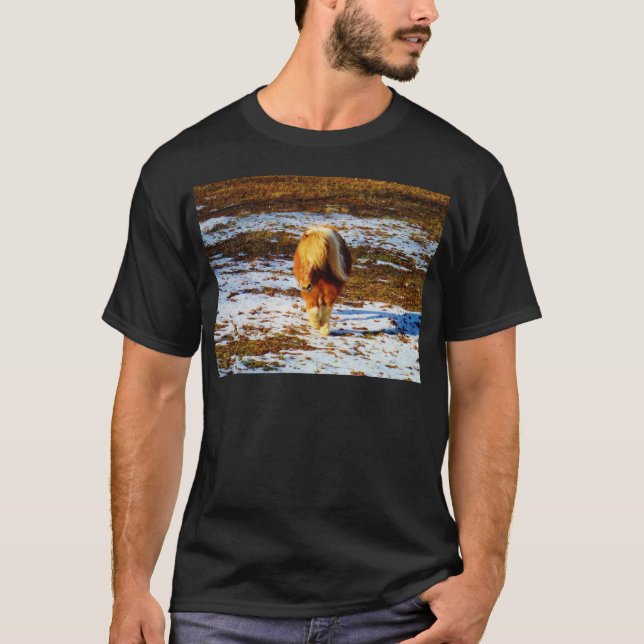 T-shirt Cheval miniature Brown et crème dans la neige. (Devant)