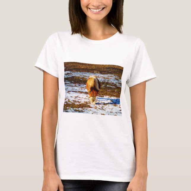 T-shirt Cheval miniature Brown et crème dans la neige. (Devant)