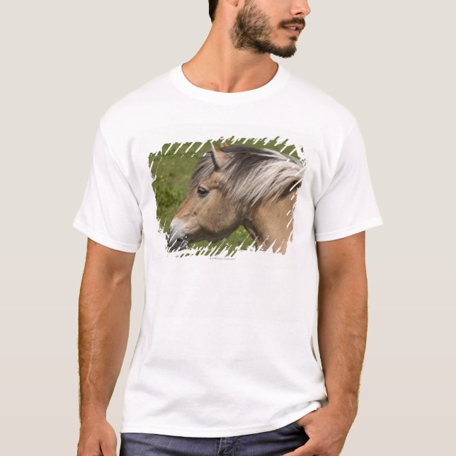 T-shirt Cheval norvégien de fjord (Devant)