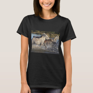 T-shirt chevaux en course