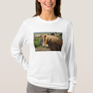 T-shirt Chevaux islandais dans le nord-est de l'Islande.