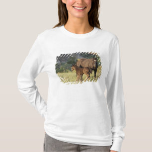 T-shirt Chevaux sauvages au parc national Theodore Rooseve