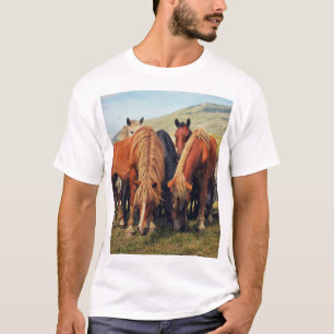 T-shirt Chevaux sauvages Vie Nature Scène