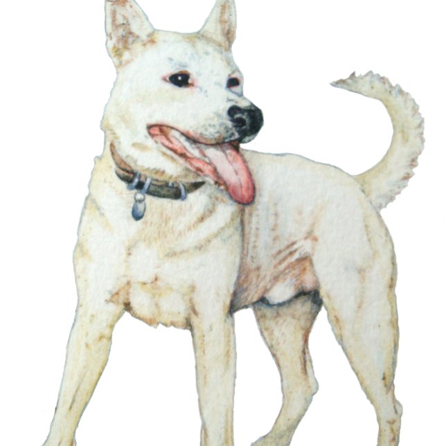 T-shirt Chien à culotte blanc américain (Créateur téléchargé)