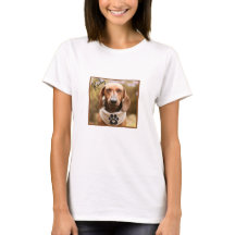 Chien Brown Dachshund avec ses yeux fermés