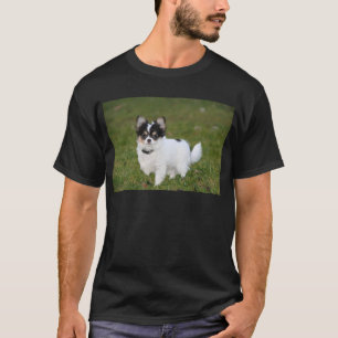 T-shirt Chien Chihuahua debout sur une pelouse verte