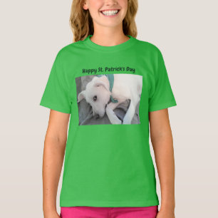 T-shirt Chien coquelicot mignon portant l'écharpe St. Patr