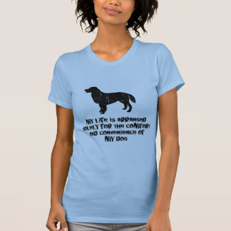 T-shirt Chien d'arrêt Plat-Enduit