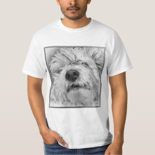 T-shirt Chien de Coton de Tulear