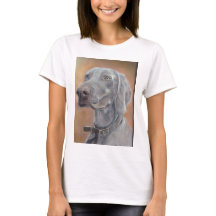 Chien de Weimaraner
