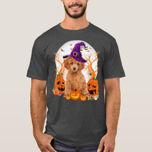 T-shirt Chien Halloween Jouet Poodle Chien Jack-o'-lantern
