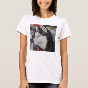T-shirt Chien husky avant une course, Canada