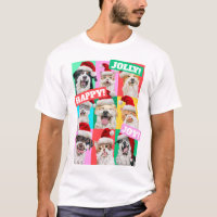 Chiens et chats avec barbe de Père Noël