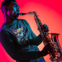 Chihuahua Chien jouant du saxophone