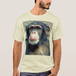 T-shirt Chimpanzé