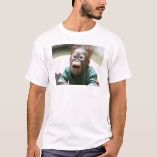 T-shirt Chimpanzé