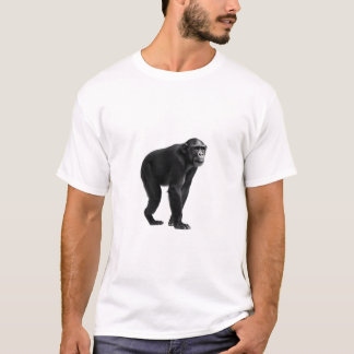 T-shirt Chimpanzé Amour sur blanc