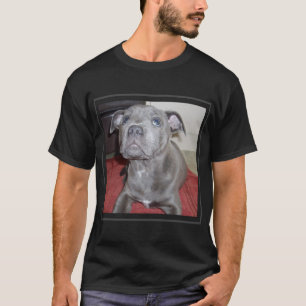 T-shirt Chiot bleu Sooky Staffordshire Bull Terrier