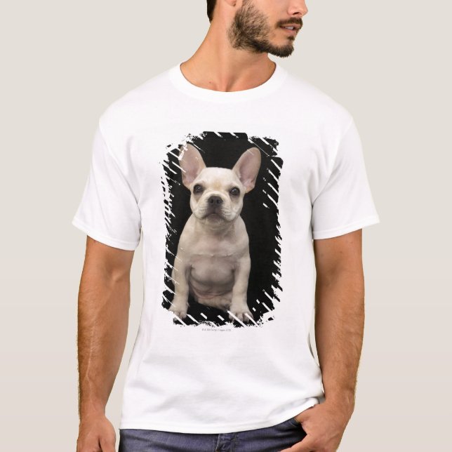 T-shirt Chiot crème de bouledogue français (Devant)