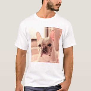 T-shirt Chiot de bouledogue français