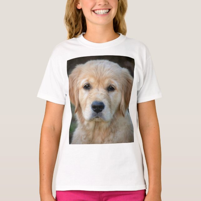 T-shirt Chiot Golden Retriever (Devant)