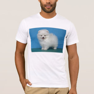 T-shirt chiot pomeranian