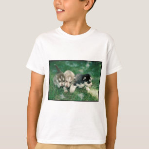 T-shirt Chiots de chien de traîneau sibérien