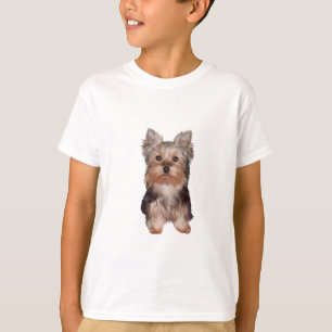 T-shirt Chiots Yorkshire Terrier