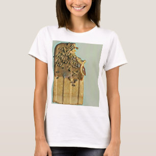 T-shirt Chocolat glacé popsicle
