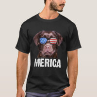 Chocolat Lab USA 4 juillet American Flag Labrador