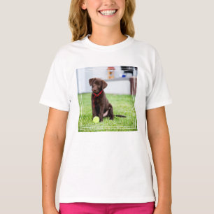 T-shirt Chocolat Labrador Puppy Avec Tennis Ball