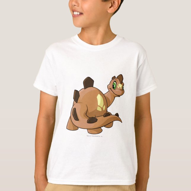 T-shirt Chomby Brown (Devant)